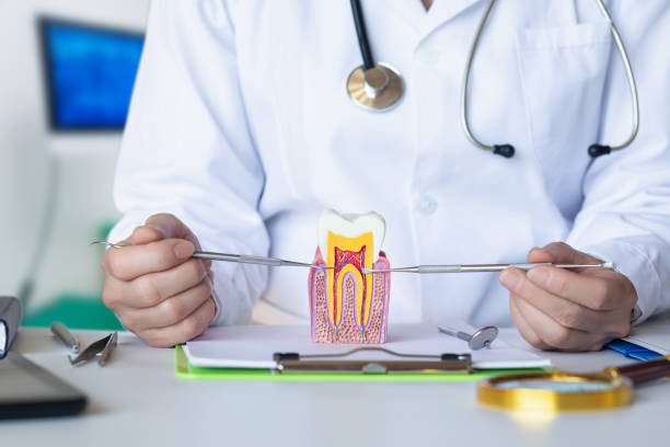 Best Pediatric Emergency Dentist in Southern Gateway, VA